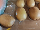 佳沛（zespri）新西兰  阳光金奇异果10粒礼盒巨大果单果约144-175g 水果 猕猴桃 实拍图