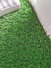 假草坪仿真人造草坪塑料绿色地毯天台阳台屋顶阳光房别墅庭院户外 2.5厘米加厚特密春草【1米宽】 1米长【人工裁剪】 实拍图