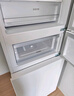 上菱183升双开门冰箱风冷无霜小型家用二门 净味养鲜 小户型租房宿舍以旧换新 BBY183WL 实拍图