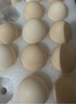 CP 正大 睛彩叶黄素鲜鸡蛋30枚 1.68kg  无抗生素    礼盒装 实拍图
