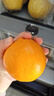 京鲜生 湖北秭归纽荷尔脐橙8斤 单果150g应季水果 源头直发包邮 实拍图