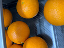 新奇士（Sunkist）澳洲黑标晚脐橙 4斤礼盒装 单果220g+ 新鲜水果礼盒 实拍图