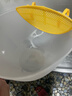 蛋液过滤量杯带刻度食品级塑料打蛋烘焙打鸡蛋厨房专用毫升杯淘米 2量杯2滤网 实拍图