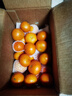 京鲜生 广西砂糖橘 净重4.5斤 单果35-45mm  生鲜水果 源头直发包邮 实拍图