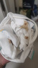 全棉时代婴儿如厕训练裤宝宝隔尿裤防水可洗2条装 小象+星月梦境90码 实拍图