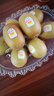 佳沛（zespri）新西兰  阳光金奇异果16粒礼盒经典果单果约 77-103g 水果 猕猴桃 实拍图