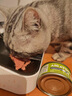 爱宠兴猫罐头主食罐猫主食罐头零食猫条营养补充主食鸡肉罐头85g*6罐 实拍图