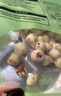 燕之坊江西广昌白莲子250g新鲜去皮带芯干莲子银耳百合羹连子干货 实拍图