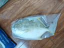 翔泰 海南金鲳鱼净重900g 2条装  鱼类生鲜 火锅食材 海鲜水产  实拍图