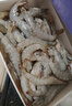 卖鱼郎先生青岛盐冻大虾净重3斤 15-20只/斤 白虾大虾基围虾生鲜 虾类 实拍图