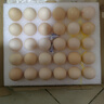CP  正大 鲜鸡蛋 30枚 3.18斤 早餐食材 优质蛋白  礼盒装 实拍图