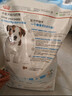 皇家狗粮幼犬狗粮幼犬奶糕宠物小型犬MIJ31全价犬粮2-10月8KG 实拍图