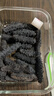 官参堂 大连淡干海参干货 至甄250g 20-35只 底播辽刺参海鲜水产简装 实拍图