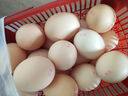 京觅富硒鲜鸡蛋 无抗生素  营养健康 30枚/盒3斤  源头直发 实拍图