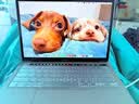 苹果（Apple）MacBook Pro/Air 二手苹果笔记本电脑 M1/M2/M3/M4 官翻全新14寸/16寸M3Pro/M4Max笔记本 20年13寸Pro【8+8核】M1-16-512G 9 实拍图