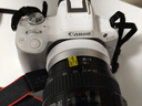 佳能（Canon）EOS R50 18-45套机 白色 实拍图
