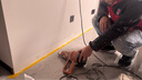 同城刷墙服务墙面翻新修补修复粉刷维修旧房改造装修油漆工上门刷漆服务 墙面翻新 实拍图