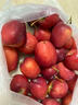 映棠 东北鸡心果5斤【顺丰快递—多地次日达】海棠果玫瑰小苹果礼盒装 3斤大果【人工精选】 现摘现发 实拍图