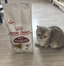 皇家成猫猫粮 营养均衡 F32 通用粮 1-7岁 2KG 实拍图