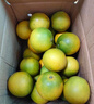 京鲜生 云南哀牢山冰糖橙/橙子 净重9斤 单果130g-170g 生鲜水果礼盒 实拍图
