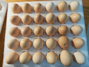 京鲜生 无抗保洁鲜鸡蛋30枚/盒 健康轻食 礼盒送礼 1.5kg/盒 源头直发 实拍图