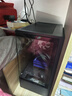 微星（MSI） i5 12400F/13400F/RTX3060/4060/5060Ti黑神话悟空游戏主机电脑台式机组装电脑主机DIY整机 配置三i5 12400F丨512G丨RTX3050 实拍图