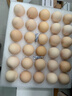 CP  正大 鲜鸡蛋 30枚 3.18斤 早餐食材 优质蛋白  礼盒装 实拍图