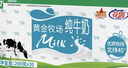 花园【新鲜日期】黄金牧场纯牛奶200克*20盒整箱装新疆原产礼盒装 实拍图