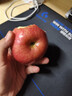 京鲜生 烟台红富士苹果 净重5斤  单果190g起 水果礼盒 实拍图