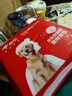 HONEYCARE好命家宠物尿垫狗狗尿不湿全吸收定制款 加厚狗尿片M码45*60cm 实拍图