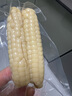 傣萨金谷云南新鲜玉米 拇指糯玉米 2斤袋装 软糯香甜 礼袋 实拍图