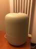 飞科（FLYCO） 空气加湿器卧室办公室桌面家用大容量宿舍易清洁大雾量净化空气 FH9211【典雅绿】2L 实拍图