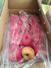 京鲜生 烟台红富士苹果 净重10斤 单果190g以上 生鲜水果 礼盒装 实拍图