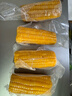 当季新货头茬东北黄甜糯玉米棒真空包装低脂黄糯大棒甜东北黏苞米 黄糯玉米【120-160克】4根 实拍图