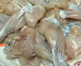 田源程四去免浆牛蛙块1斤装现杀鲜冻 免处理 去皮蛙肉 海鲜水产 实拍图