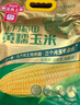 十月稻田 黄糯玉米 3.52斤(220g*8根)  杂粮粗粮 东北玉米 低脂早餐 新米 实拍图