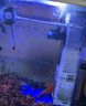 森森 小鲤鱼缸过滤器净水循环三合一内置水族箱过滤系统XQP-500F 6W 实拍图