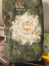 babycare金山茶花拉拉裤L38片(9-14kg)婴儿尿不湿超薄透气新生柔花苞裤 实拍图