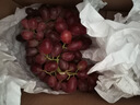 现摘云南新鲜克伦生无籽提红提葡萄生鲜提子水果肉多多礼盒 克伦生无籽提带箱5斤 实拍图