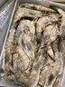 鲜京采 厄瓜多尔白虾 净重3斤/盒 特大号20-30规格   30-45只/盒 实拍图