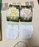 babycare金山茶花拉拉裤L38片(9-14kg)婴儿尿不湿超薄透气新生柔花苞裤 实拍图