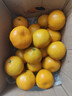 京鲜生 无核蜜桔 精选5斤装橘子/桔子  单果100g+ 生鲜水果礼盒 实拍图