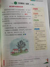 阳光同学 2025秋新版 同步作文小达人 四年级上册语文人教版 小学生四年级作文书上册同步写作范文作文书大全写作技巧专项训练 实拍图