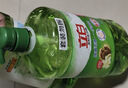 立白 茶籽洗洁精2.9kg A类去污洁净99%除菌去油快不伤手洗涤灵洗碗液 实拍图