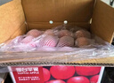 京鲜生 山东栖霞红富士苹果精品12粒 单果190g-240g  水果礼盒 实拍图