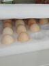 CP  正大 鲜鸡蛋 30枚 3.18斤 早餐食材 优质蛋白  礼盒装 实拍图