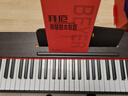 海蒂诗电钢琴便携式88键重锤初学者儿童电子钢琴成人专业电钢考级幼儿 B-101-重锤-单踏-四色可选 实拍图