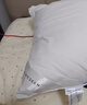 康尔馨希尔顿五星级酒店枕头 抗菌纯棉纤维枕成人家用单人枕头芯 白色 中高枕(74*48cm) 单只 实拍图