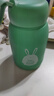 【京东物流送货上门】萌萌兔卡通水杯女牛奶玻璃杯创意便携杯子 绿色萌萌兔 330ml 1只 实拍图
