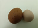 京喜加 鲜鸡蛋 土鸡蛋  五谷喂养 山林自养鸡蛋早餐 生鲜超市买菜40g 20枚 800g 实拍图